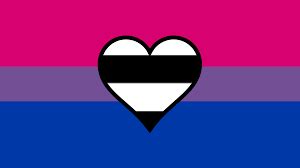 heteroromantic bisexual flag|Bisexuel Heteroromantique